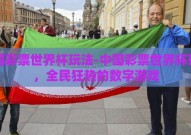 中国彩票世界杯玩法-中国彩票世界杯玩法，全民狂热的数字游戏