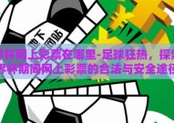 世界杯网上彩票在哪里-足球狂热，探索世界杯期间网上彩票的合法与安全途径
