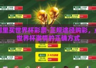 在哪里买世界杯彩票-正规途径购彩，点亮世界杯激情的正确方式