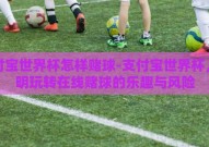 支付宝世界杯怎样赌球-支付宝世界杯，聪明玩转在线赌球的乐趣与风险