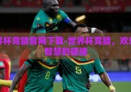 世界杯竞猜官网下载-世界杯竞猜，欢乐与智慧的碰撞