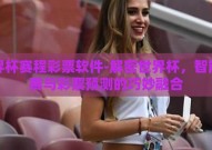 世界杯赛程彩票软件-解密世界杯，智能观赛与彩票预测的巧妙融合