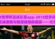 2018世界杯足球彩票app-2018世界杯，一场足球激情与智慧碰撞的盛宴——论足球彩票app的崛起与影响