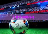 在北京赌世界杯-