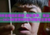 世界杯去哪买彩票啊-精彩赛事，幸运一注——2024年世界杯购彩攻略与注意事项