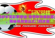 世界杯中奖彩票查询-世界杯中奖彩票查询，揭秘寻找幸运之门的步骤