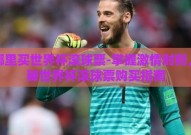 在哪里买世界杯滚球票-掌握激情时刻，揭秘世界杯滚球票购买指南
