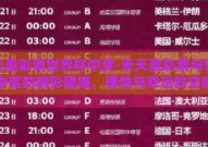 天天盈彩票世界杯中奖-天天盈彩票与世界杯中奖的精彩碰撞，理性与幸运的交响曲