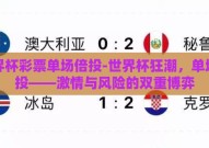 世界杯彩票单场倍投-世界杯狂潮，单场倍投——激情与风险的双重博弈