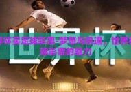 世界杯买足球彩票-梦想与机遇，世界杯足球彩票的魅力