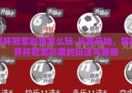 世界杯冠军彩票怎么玩-从零开始，掌握世界杯冠军彩票的玩法与策略