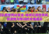 体育彩票世界杯奖金-体育彩票世界杯，解锁激情与幸运的双重盛宴