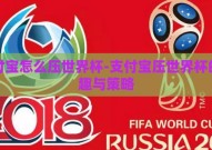支付宝怎么压世界杯-支付宝压世界杯的乐趣与策略