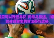 在哪里可以赌世界杯-问题与机遇，揭秘全球体育赛事的合法参与途径