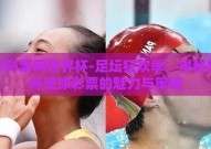足球彩票网世界杯-足坛狂欢季，揭秘世界杯足球彩票的魅力与策略