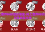 网上世界杯彩票在哪里-网上世界杯彩票概况及购买指南