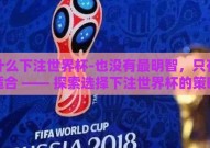 用什么下注世界杯-也没有最明智，只有最适合 —— 探索选择下注世界杯的策略