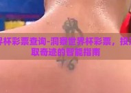 世界杯彩票查询-洞察世界杯彩票，投注赢取奇迹的智能指南