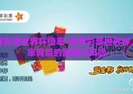 体育彩票世界杯倍率-体育彩票世界杯，倍率背后的激情与风险