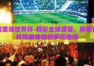 在哪里赌世界杯-精彩全球盛宴，解密世界杯观赛体验的多元选择