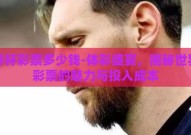 世界杯彩票多少钱-体彩盛宴，揭秘世界杯彩票的魅力与投入成本