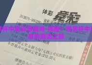 世界杯中奖彩票查询-揭秘！世界杯中奖彩票的查询之旅