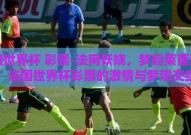 法国世界杯 彩票-法网妖娆，梦起莱茵河旁，法国世界杯彩票的激情与梦想交织
