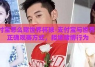 支付宝怎么赌世界杯球-支付宝与世界杯，正确观赛方式，拒绝赌博行为