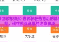 彩票世界杯购买-世界杯狂热背后的智慧抉择，理性购买彩票的注意事项