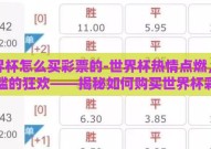 世界杯怎么买彩票的-世界杯热情点燃，低门槛的狂欢——揭秘如何购买世界杯彩票