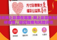 世界杯网上彩票在哪里-网上彩票参与世界杯赌博，研究指南与风险评估