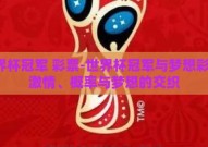 世界杯冠军 彩票-世界杯冠军与梦想彩票，激情、概率与梦想的交织