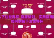 怎么下注世界杯-赢家法则，实用指南教你如何明智下注世界杯