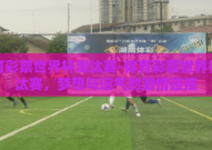 体育彩票世界杯淘汰赛-体育彩票世界杯淘汰赛，梦想与运气的激情碰撞