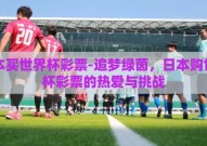 日本买世界杯彩票-追梦绿茵，日本购世界杯彩票的热爱与挑战