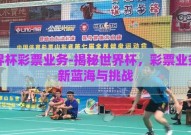 世界杯彩票业务-揭秘世界杯，彩票业务的新蓝海与挑战