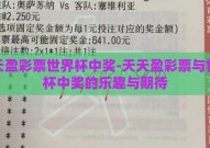 天天盈彩票世界杯中奖-天天盈彩票与世界杯中奖的乐趣与期待