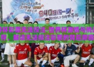 世界杯彩票无法投注-世界杯激情与挑战并存，解读无法投注彩票的背后原因