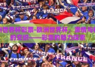 欧洲世界杯彩票-欧洲世界杯，激情与机会的交织——彩票的魅力探索