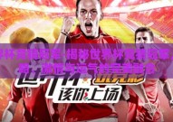 世界杯竞猜冠军-揭秘世界杯竞猜冠军，策略、激情与运气的完美融合