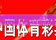 世界杯彩票股票-世界杯狂欢之下的理性投注与市场观察，彩票与股票的双轨分析