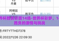 世界杯胜负彩票14场-世界杯彩梦，14场胜负的激情与挑战