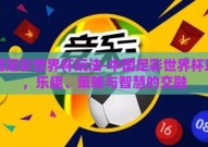中国足彩世界杯玩法-中国足彩世界杯玩法，乐趣、策略与智慧的交融