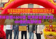 世界杯彩票6500倍-世界杯彩票之旅，6500倍的高额诱惑