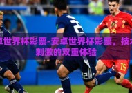 安卓世界杯彩票-安卓世界杯彩票，技术与刺激的双重体验
