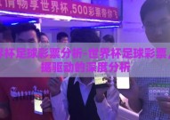 世界杯足球彩票分析-世界杯足球彩票，数据驱动的深度分析