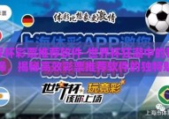 世界杯彩票推荐软件-世界杯狂潮中的智慧选择，揭秘高效彩票推荐软件的独特魅力