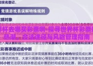 世界杯去哪买彩票啊-探寻世界杯彩票购买热潮，合法途径与风险管理指南