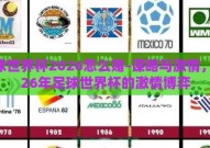 足球世界杯2026怎么赌-谋略与激情，2026年足球世界杯的激情博弈
