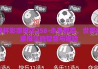 世界杯彩票投注258-永争冠军，世界杯彩票投注的智慧与冒险